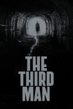 Movie poster for The Third Man (1949)