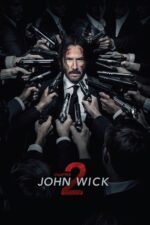 Movie poster for John Wick: Chapter 2 (2017)